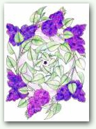 57.  &raquo; Кликните чтобы увеличить ->
